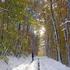 Winter walk in Vermont