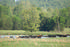 property borders 150ac cow farm on 3 sides