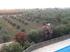 view from the balcony in the Peloponnese