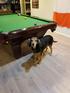 Linus w/ Our Pool Table